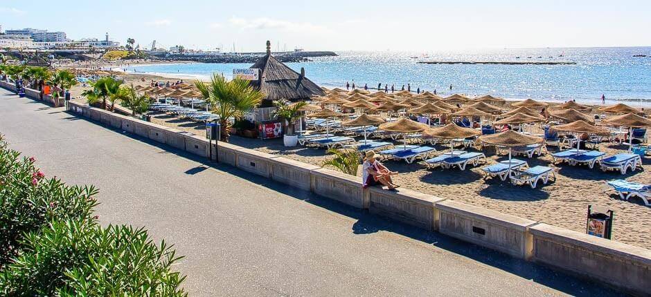 Fañabé, Family beaches in Tenerife 