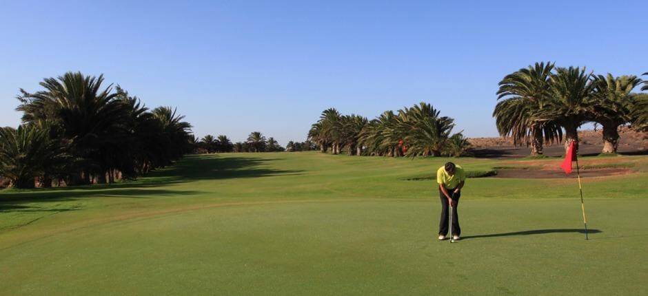 Costa Teguise Golf. Golf courses in Lanzarote 