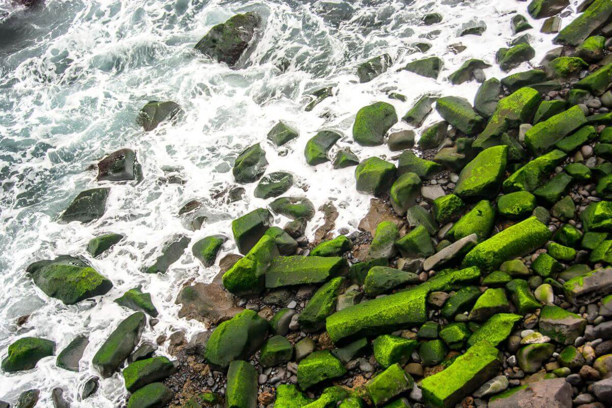 Playa El Ancón