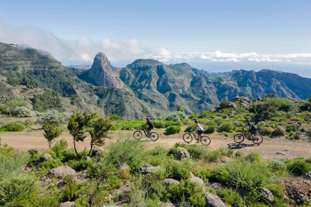 Monte de Los Noruegos en Benchijigua