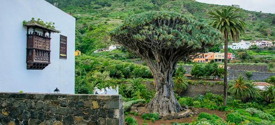 Icod de los Vinos Old Town. Historic quarters of Tenerife