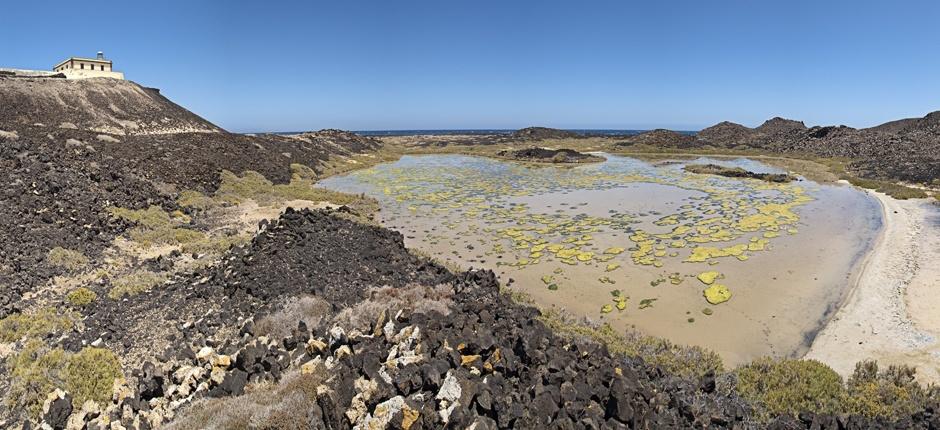 Islote de Lobos + Pathways of Fuerteventura 