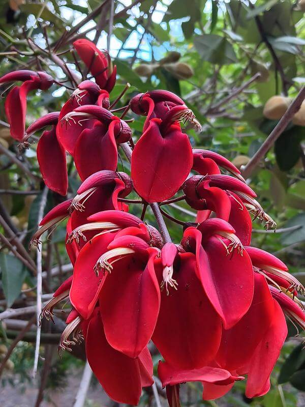 Jardín Botánico del Descubrimiento