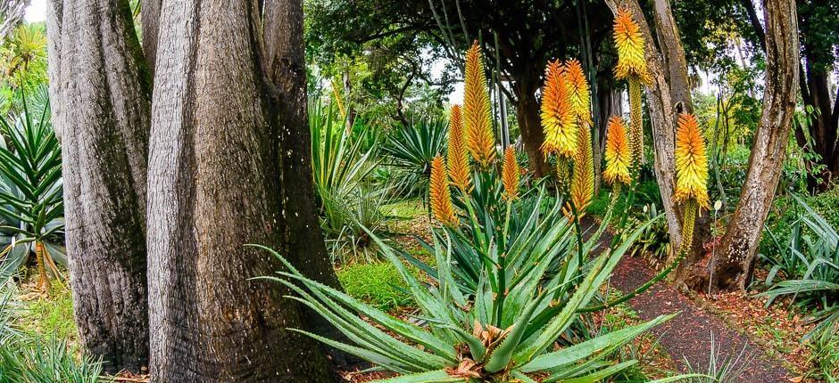 The Orotava Acclimatisation Gardens, Museums and tourist centres in Tenerife