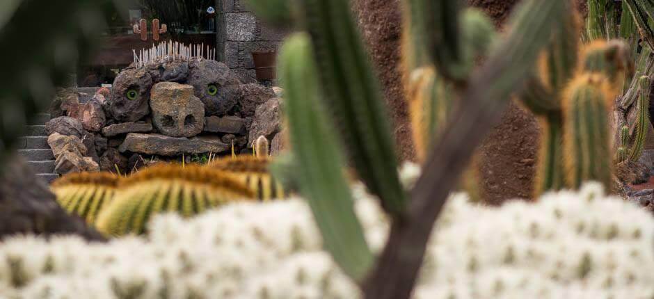 Jardín de Cactus Museos y centros turísticos de Lanzarote
