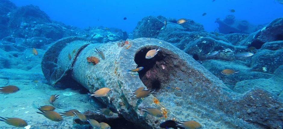 Diving the ‘Kinder Island’  wreck, in Gran Canaria