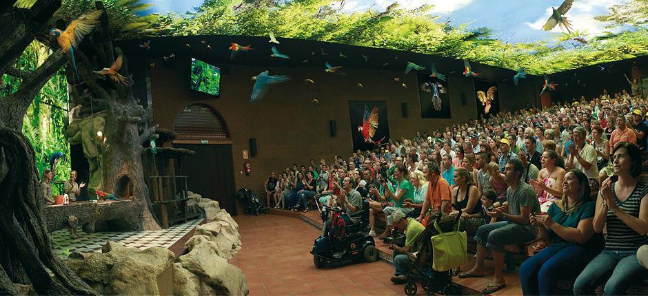 Loro Parque, Tenerife’s Zoos