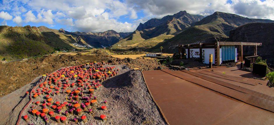 Maipés de Agaete. Museums and tourist centres in Gran Canaria