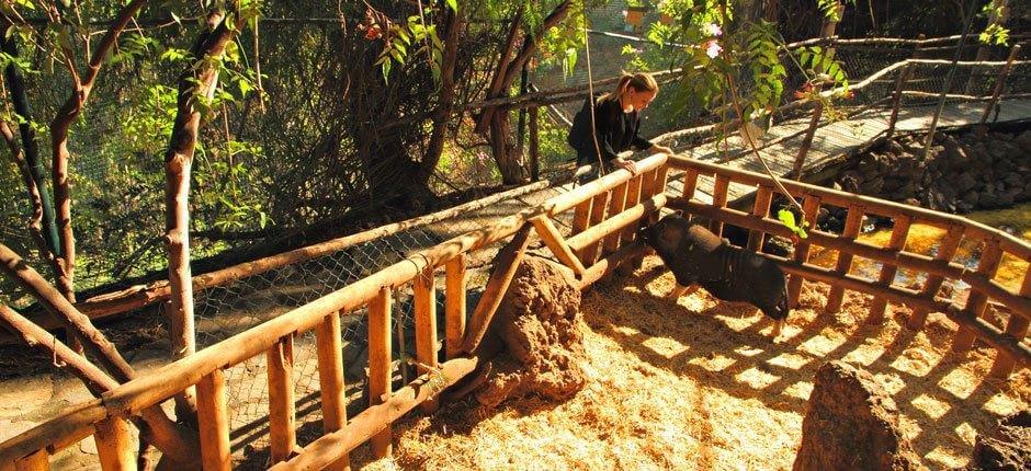 Maroparque, La Palma’s zoos