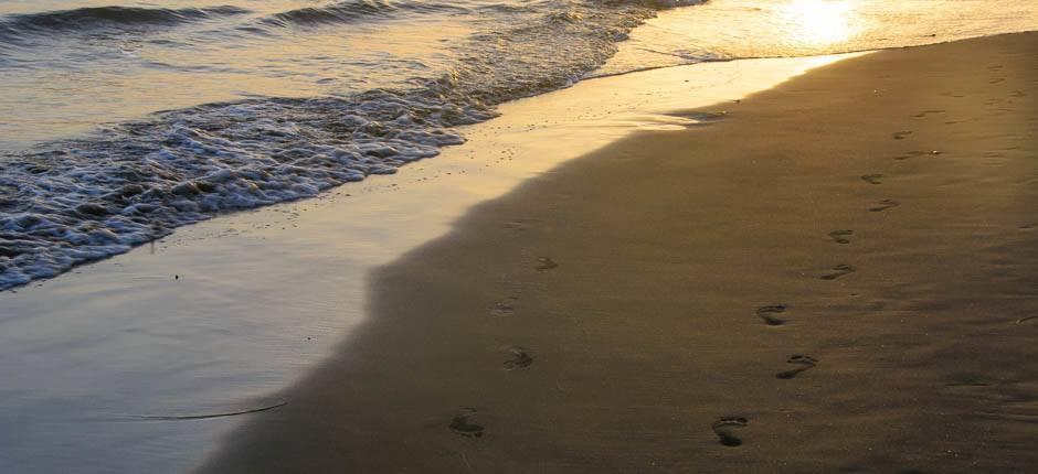 Maspalomas beach Popular beaches of Gran Canaria