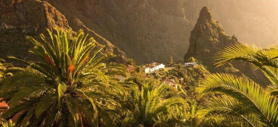 Cherfe Viewpoint. Viewpoints in Tenerife 