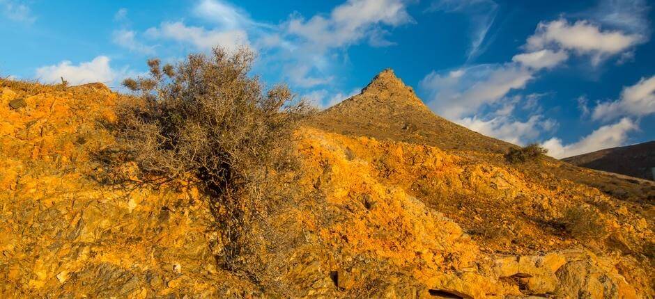 Las Peñitas Viewpoint, Viewpoints in Fuerteventura
