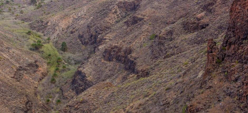 Degollada de la Yeguas lookout point Gran Canaria