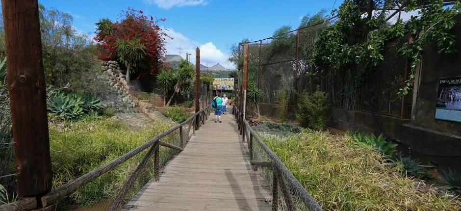 Monkey Park Tenerife, Tenerife’s Zoos