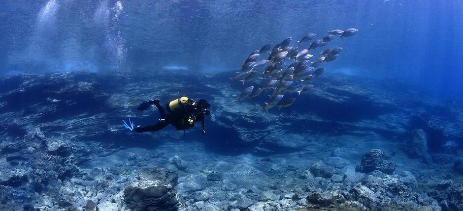 Diving at Montaña Amarilla, in Tenerife