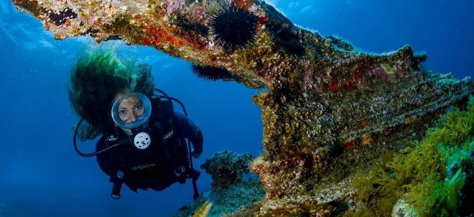 Diving at Montaña Amarilla, in Tenerife