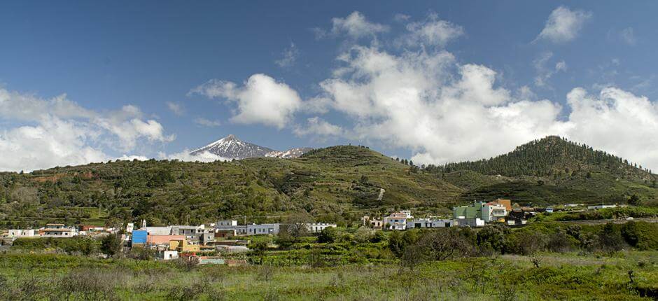 Monte del Agua + Pathways of Tenerife