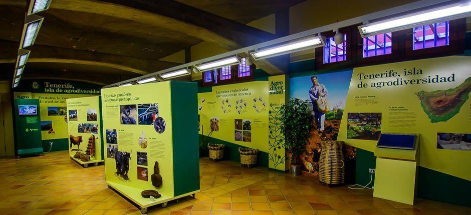 House of Wine and Honey, Museums and tourist centres in Tenerife