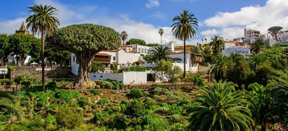 Millennium Dragon Tree Park, Museums and Tourist centres in Tenerife   Tenerife