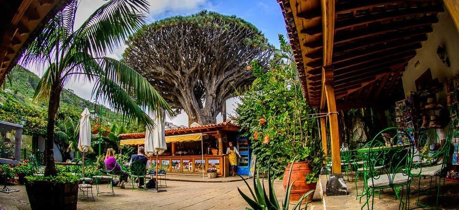 Millennium Dragon Tree Park, Museums and Tourist centres in Tenerife   Tenerife