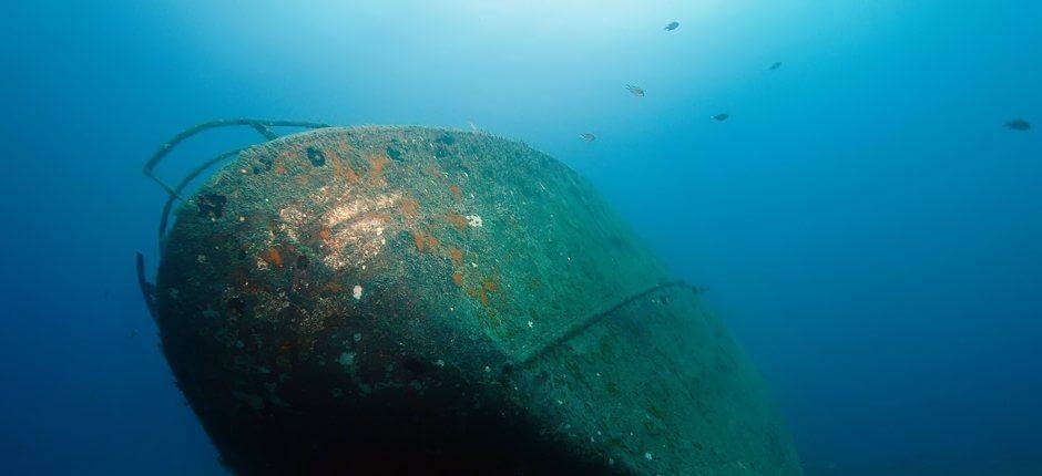 Wreck diving at Mogán, in Gran Canaria