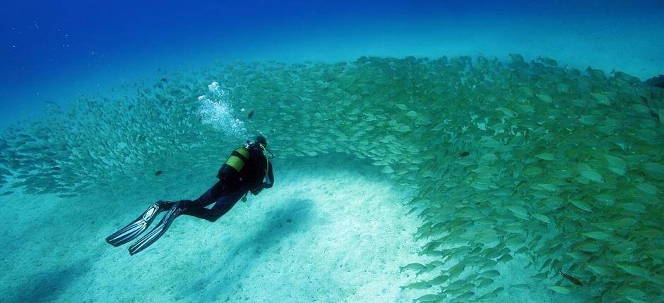 Wreck diving at Mogán, in Gran Canaria