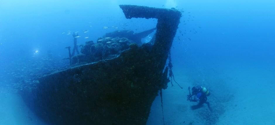 Diving the ‘Plasencia’ wreck in Gran Canaria