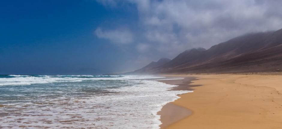 Beach de Cofete. Virgin beaches in Fuerteventura