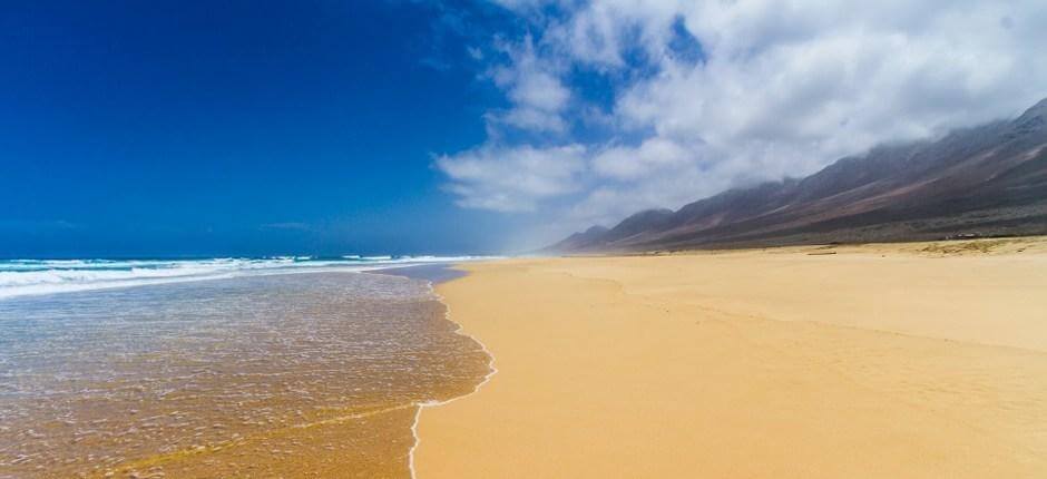 Beach de Cofete. Virgin beaches in Fuerteventura