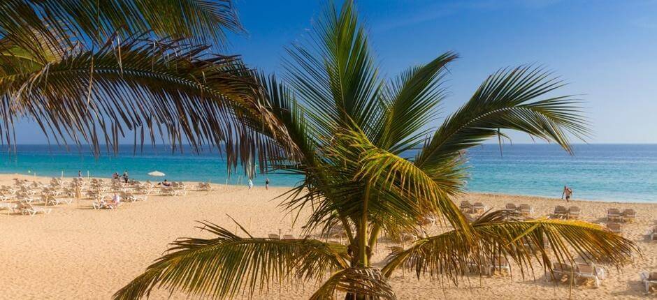 Morro Jable beach, Fuerteventura's popular beaches
