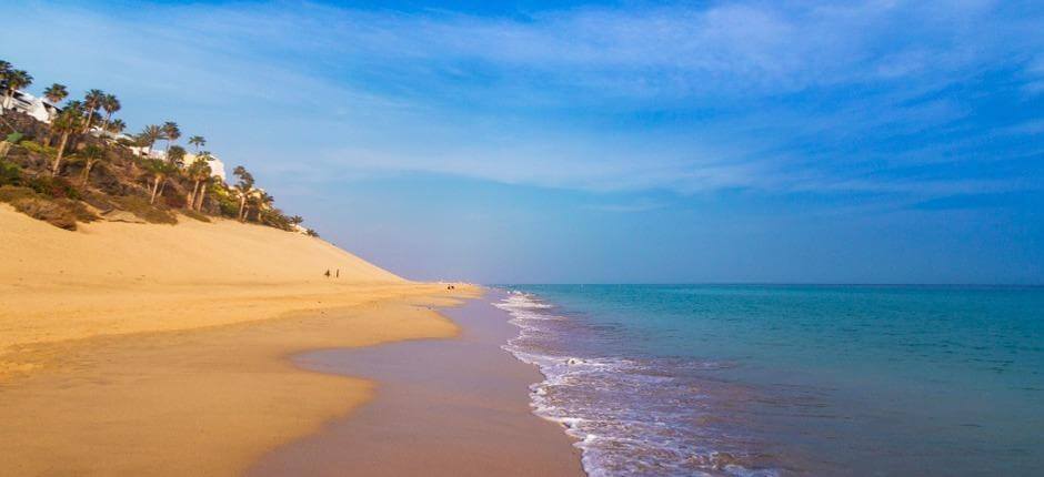 Morro Jable beach, Fuerteventura's popular beaches