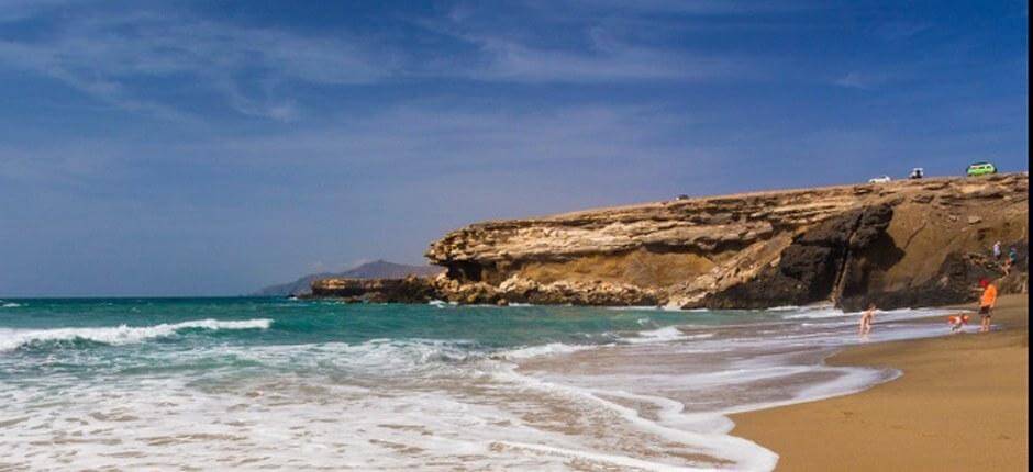 : Viejo Rey beach + Virgin beaches in Fuerteventura 