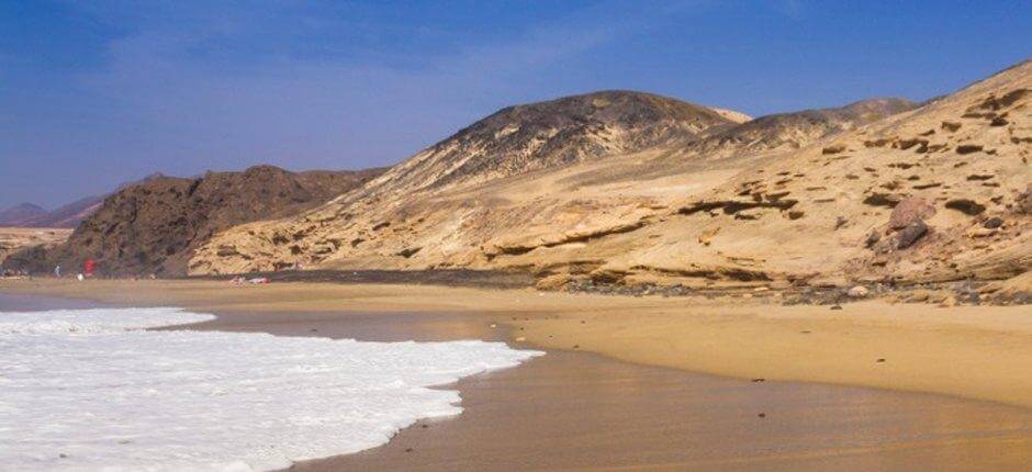 : Viejo Rey beach + Virgin beaches in Fuerteventura 