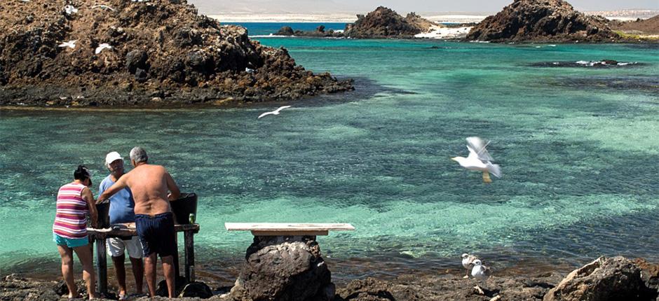 Puertito de Lobos. Piscinas naturales de Fuerteventura