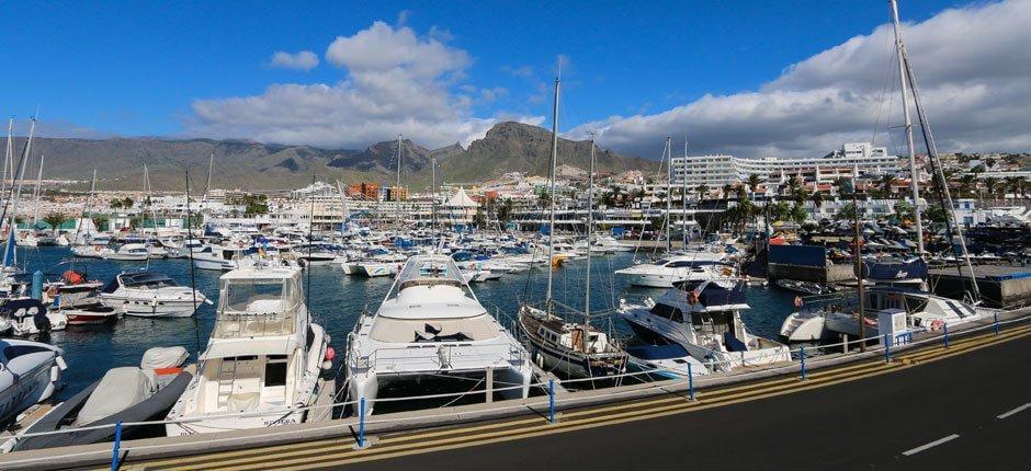 Puerto Colón, Marinas and harbours in Tenerife