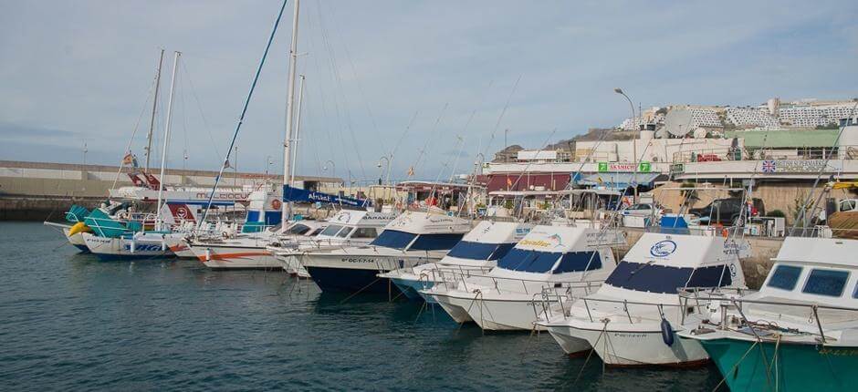 Puerto Rico Marina, marinas and harbours in Gran Canaria