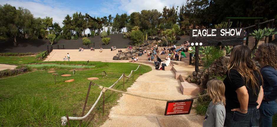 Rancho Texas Lanzarote Park. Zoos in Lanzarote 