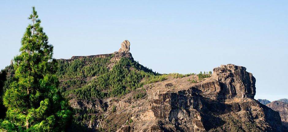 Roque Nublo + Pathways of Gran Canaria 