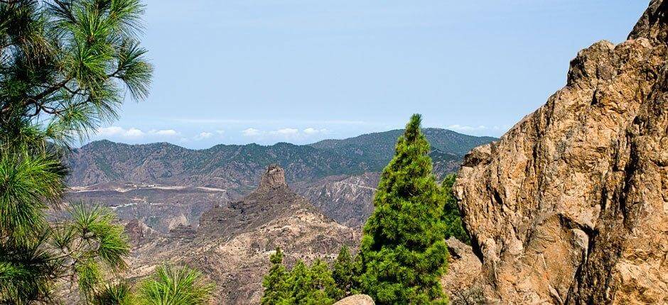 Roque Nublo + Pathways of Gran Canaria