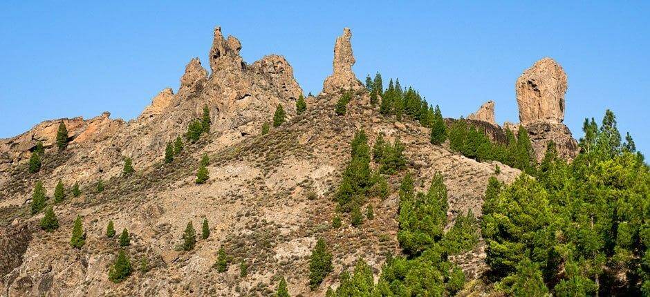 Roque Nublo + Pathways of Gran Canaria 