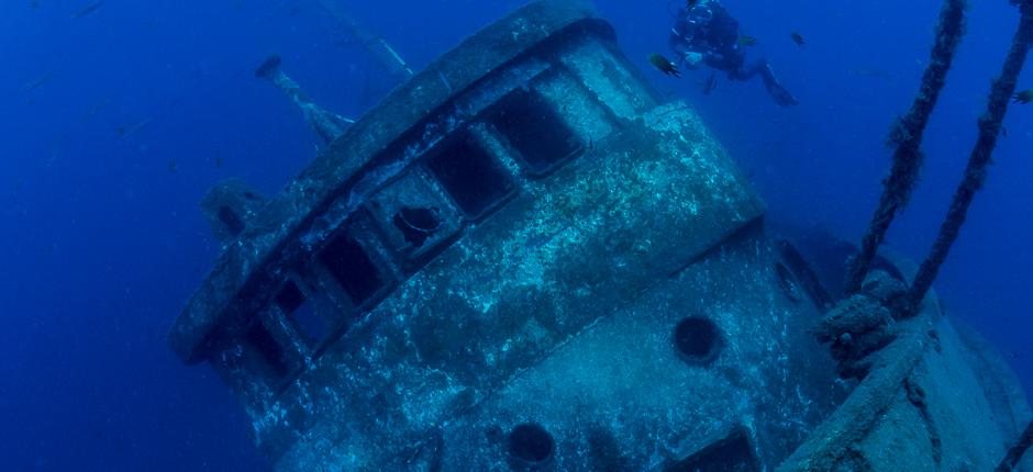 Wreck dive in Tabaiba, in Tenerife