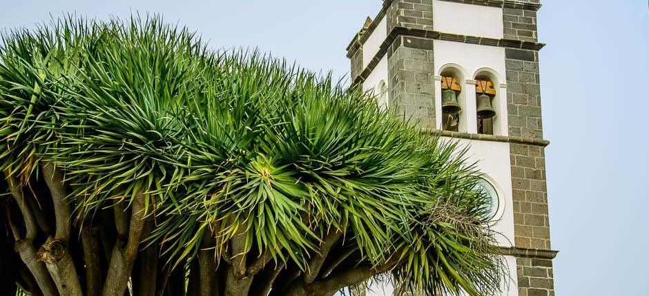 Tegueste, Charming towns of Tenerife.