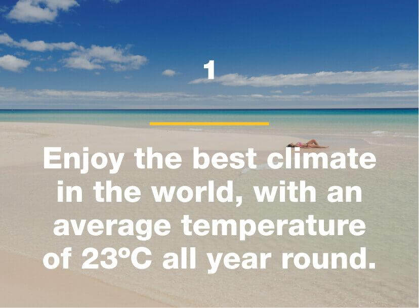 Enjoy the best climate in the world, with an average temperature of 23ºC all year round.
