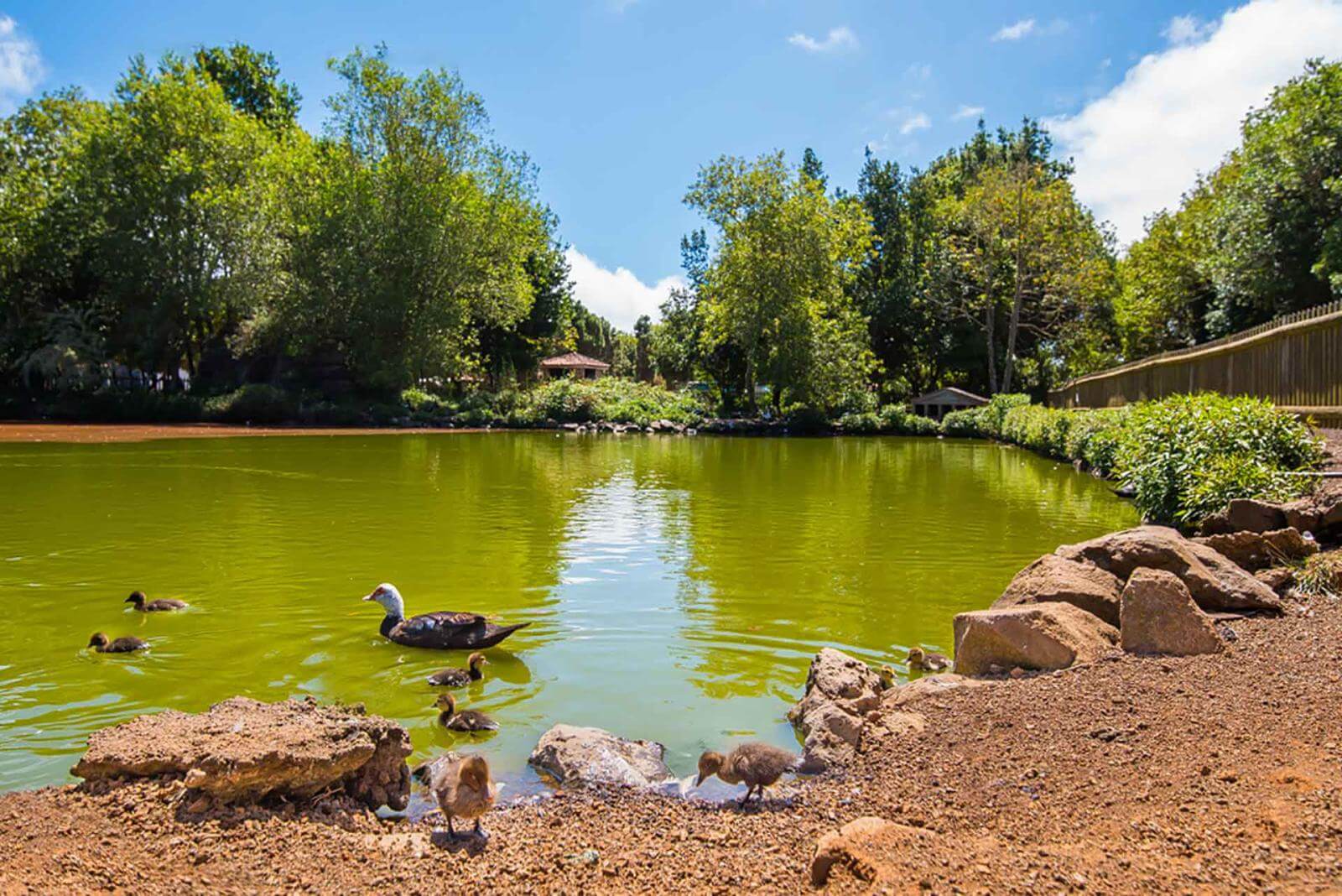 Laguna de Barlovento