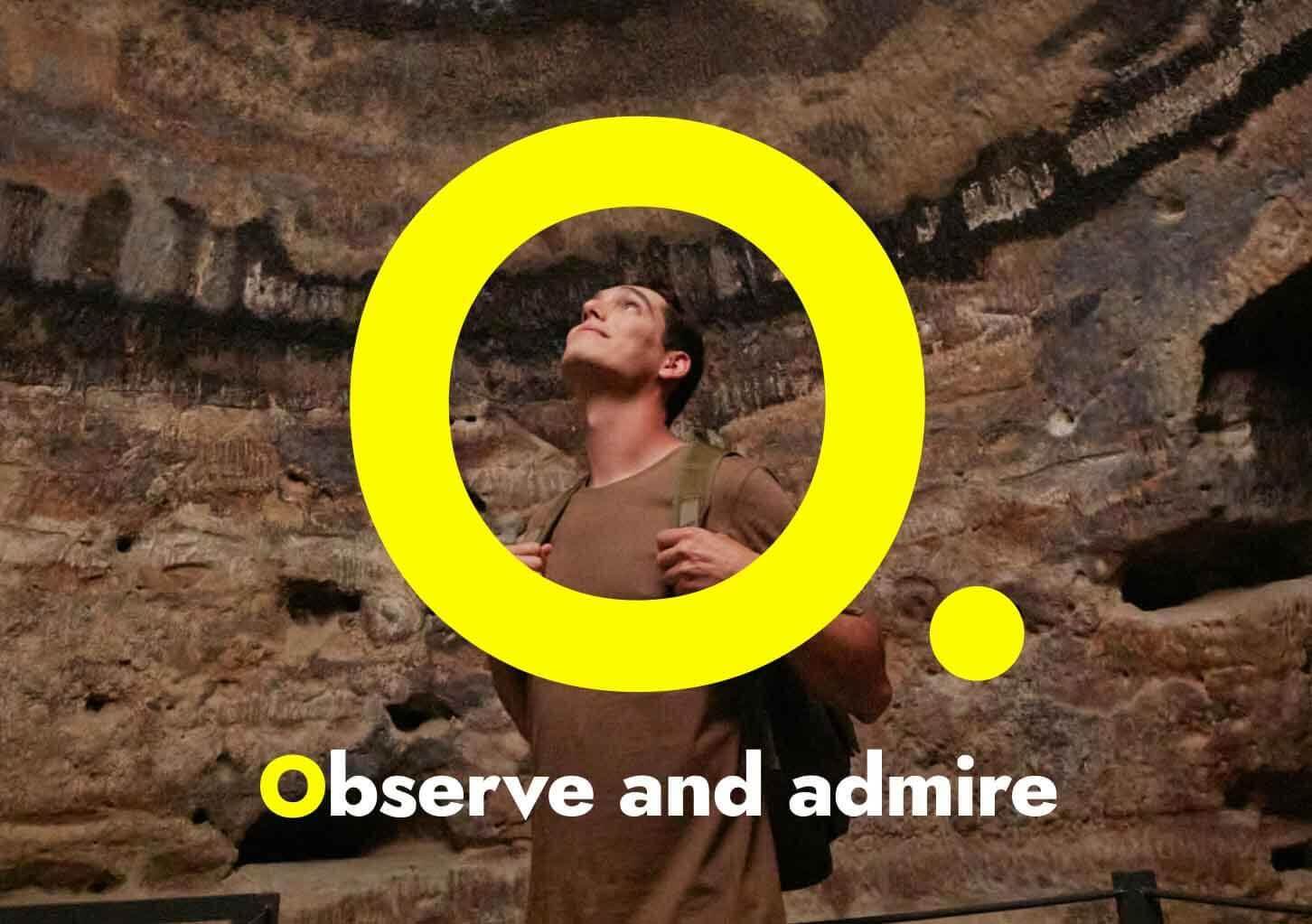 Observe and admire
