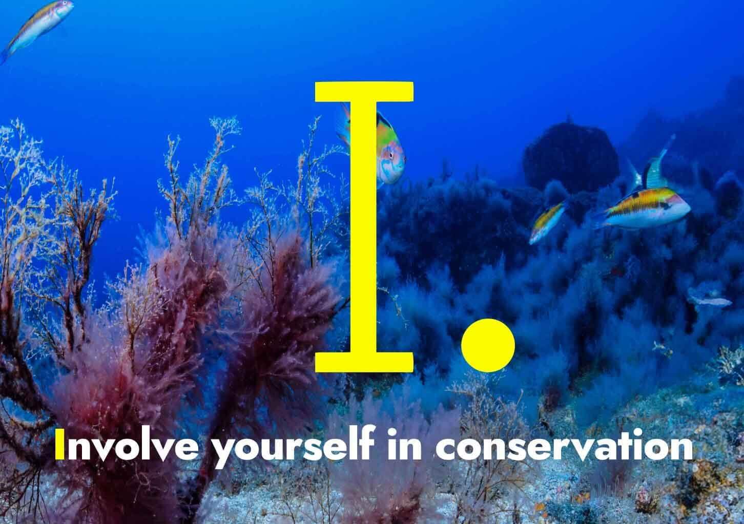Involve yourself in conservation