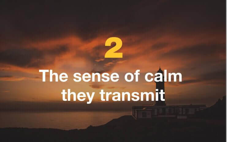 The sense of calm they transmit
