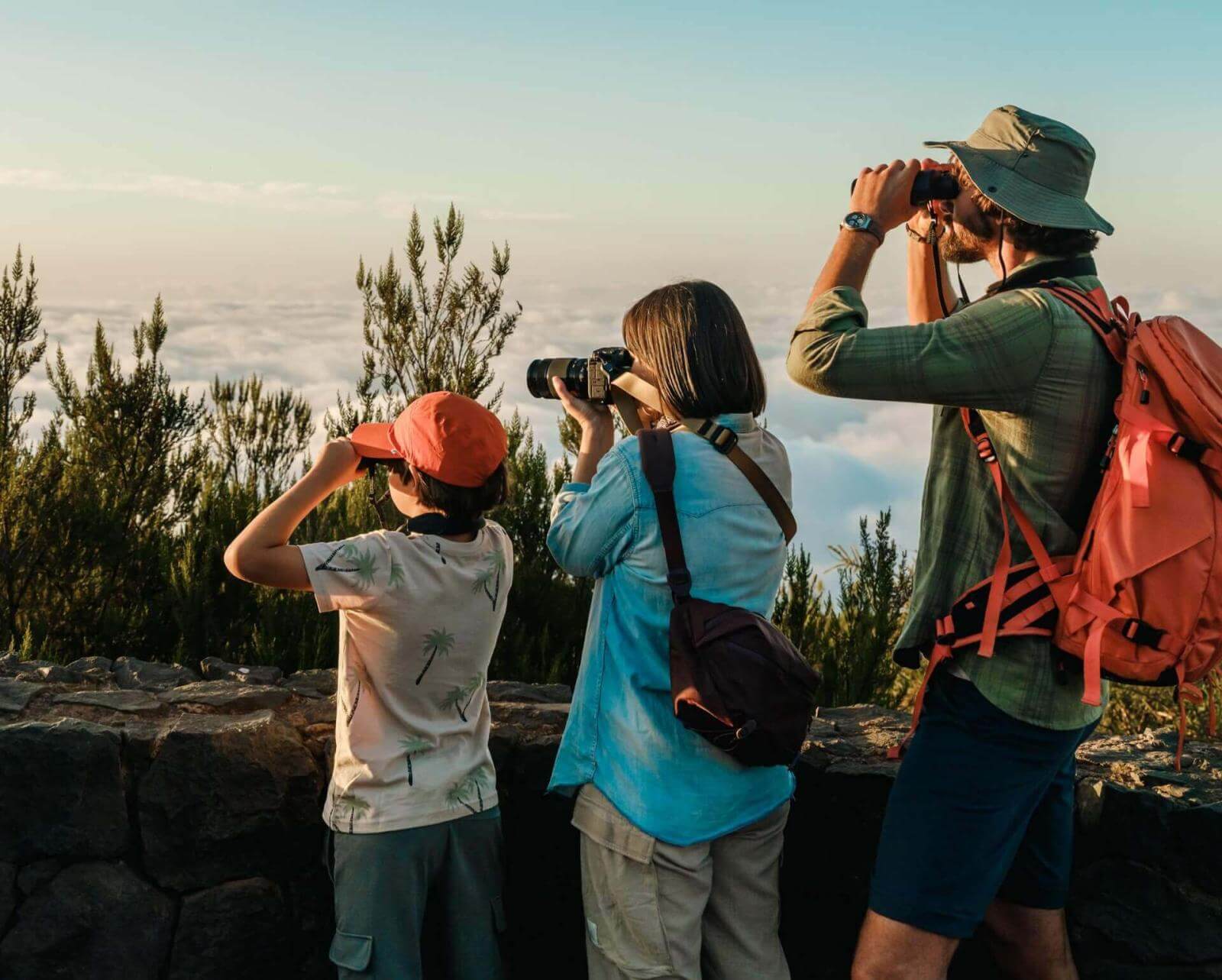 Group birdwatching with binoculars and camera from viewpoint surrounded by Canary pines and sea of clouds.