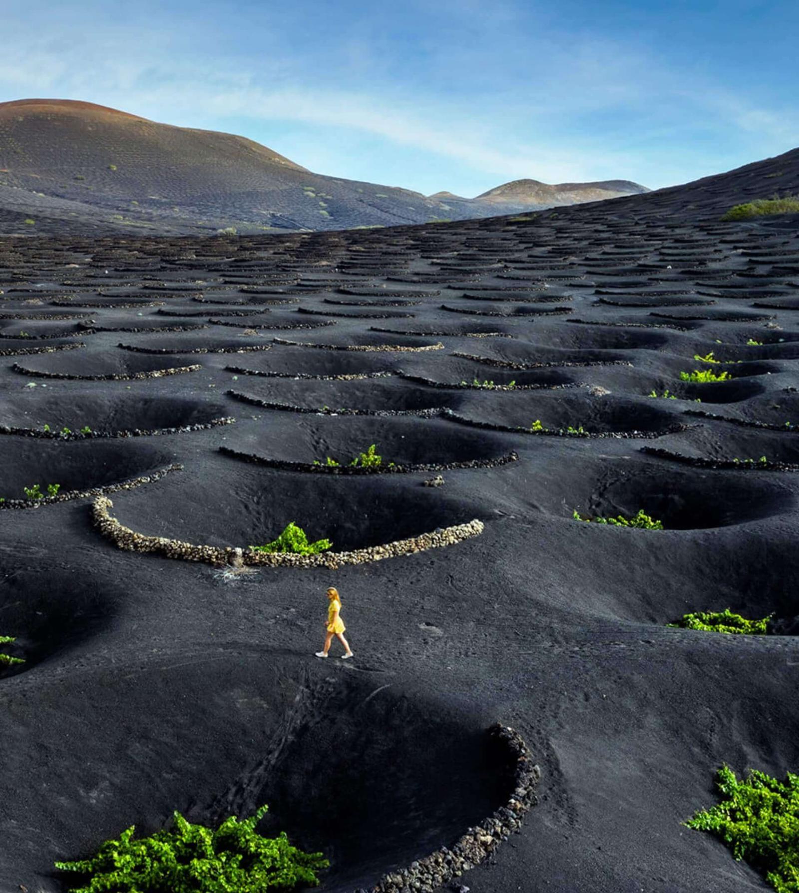 Vineyard in volcanic landscape with circular holes and grapevines; person in yellow dress walking.