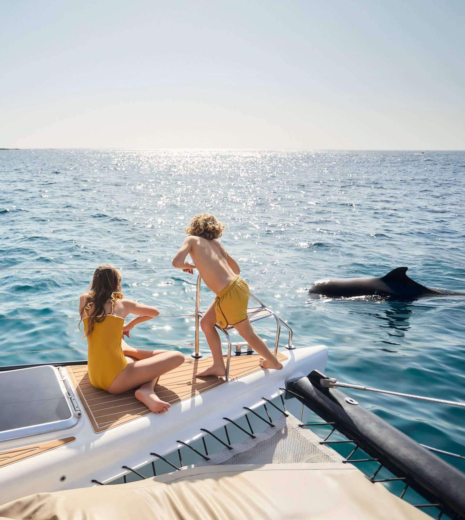 Whale watching in Atlantic waters, dolphins alongside a boat in the open sea.